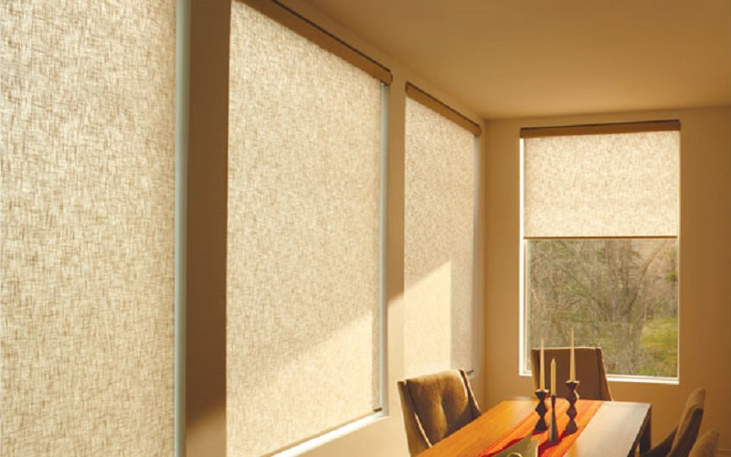 Drawbacks Of Sheer Roller Blinds