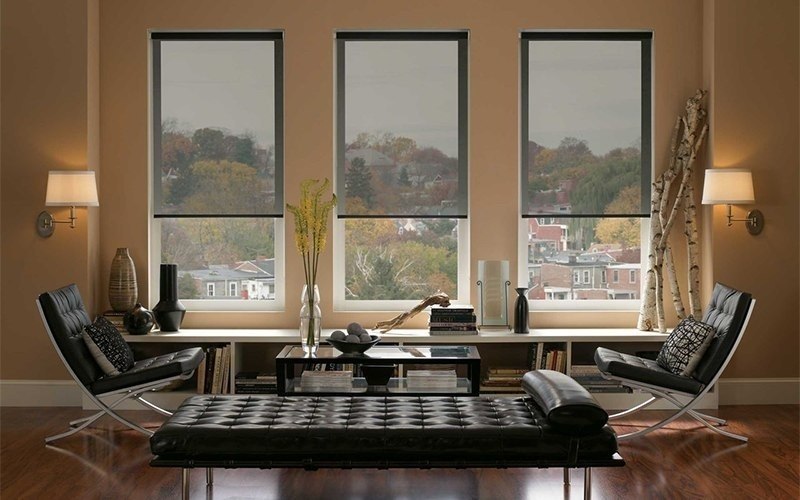 Sheer Roller Shades